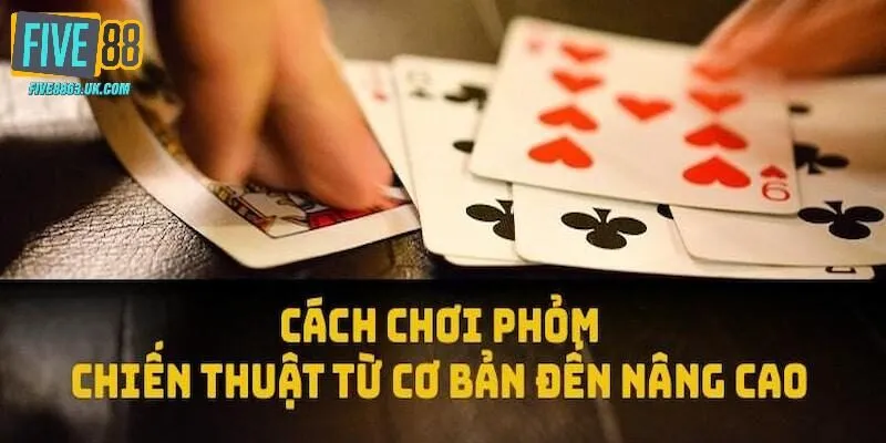 Cách chơi bài Phỏm qua những bí quyết được kiểm định