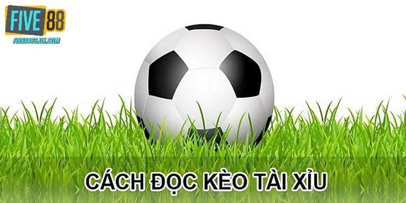 Cách đọc kèo bóng đá tài xỉu thú vị tại trận đấu ấn tượng