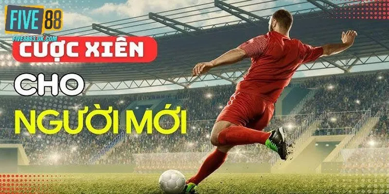 Thủ thuật cược hỗn hợp dễ thắng