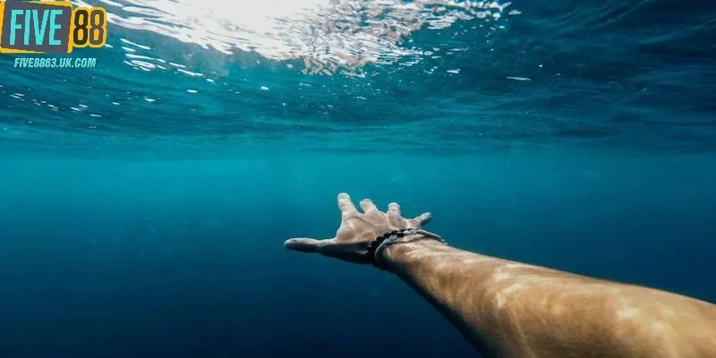 Phân tích những con số đẹp khi mơ thấy nước cho từng loại